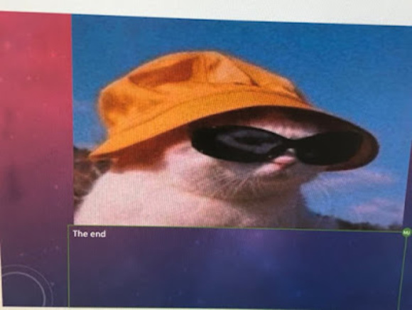 Meet your Posher, Mekhi - Picture 1 of 1